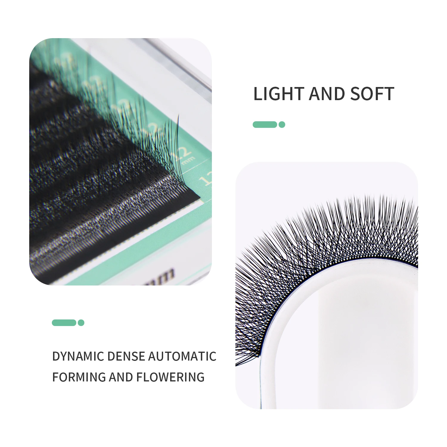 GLAMLASH 4D W 모양 속눈썹 연장 미리 만들어 - Eyelash Extension For Asian Eyes 리뷰 및 가격