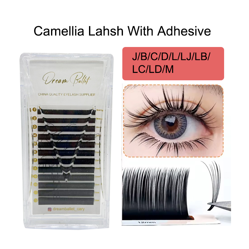 드림 발레 카멜리아 속눈썹 접착제 포함 LC LB LJ - Eyelash Extension Russian 리뷰 및 가격
